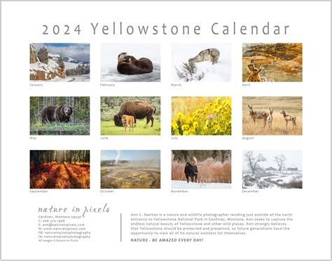 yellowstone national park schedule 2024